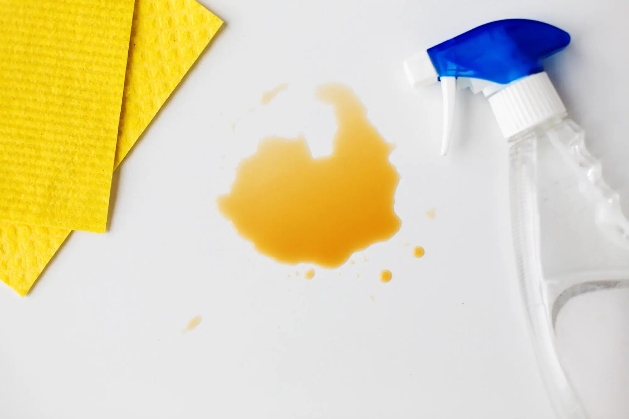 Tackling Stains and Spills in Your Palm Harbor, FL Vacation Rental: Quick Fixes and Prevention